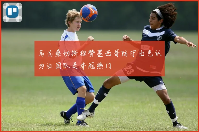 乌戈桑切斯称赞墨西哥防守出色认为法国队是夺冠热门