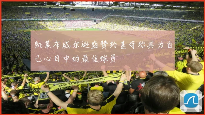 凯莱布威尔逊盛赞约基奇称其为自己心目中的最佳球员