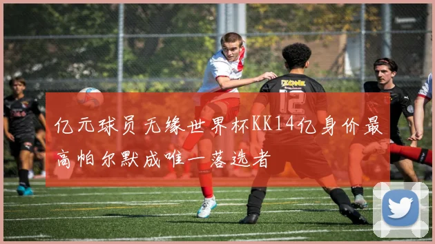 亿元球员无缘世界杯KK14亿身价最高帕尔默成唯一落选者