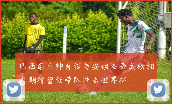 巴西前主帅自信与安切洛蒂成绩相当期待留任带队冲击世界杯